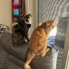 henriettaberg81 - @henriettaberg81 - TikTok