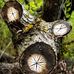 Henrietta Cartwright - Facebook