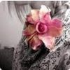 Henrietta Chen - @henriettachen - TikTok