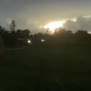 Henrietta - @iss2yr - TikTok