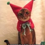 Henrietta Harmon - Facebook