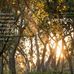 Henrietta Webb-Herbert - Facebook