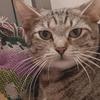 Henrietta Johnson - @henrietta.johnson1 - TikTok