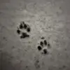 Henriette Keller - @henriette.keller - TikTok