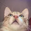 Henrietta Igah - @henriettaking - TikTok