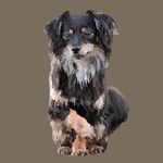 Henrietta - @kleine_diva_henrietta - Instagram