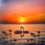 Henrietta Lam - Facebook