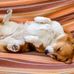 Henrietta Liao - Facebook