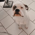 Henrietta - @longiehenrietta280 - Instagram