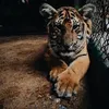 HenriettaLowe7375 - @henriettalowe7375 - TikTok