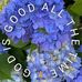 Henrietta Kramr Mccormick - Facebook