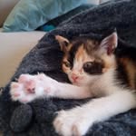 Henrietta Scott-baker - @henriettascottbaker - Instagram