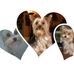 Henrietta Toth - Facebook