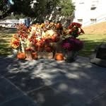Henrietta Watson - @watsonhenrietta - Instagram