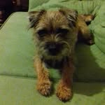 Henrietta Watson - @sybil_henrietta814 - Instagram