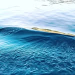 Henrietta Wellsez - @henriettawellsez - Instagram