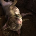 @henrietta_mae_wright - Instagram