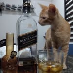 Henrique Gamba Neto - @henriquegambaneto - Instagram