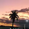 Henrique Gonçalves - @henriquegoncalves520 - TikTok