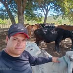 Henrique Rosa - @henrique.rosa.9674 - Instagram