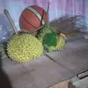 Henry Abella - @henry.abella2 - TikTok