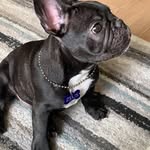 Henry Abtibol - @henryabtibol - Instagram
