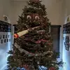 Henry Adderley - @henry.adderley8 - TikTok