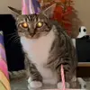 henryaddy - @henryaddy5 - TikTok