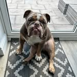 Henry adkins - @henryadkins26 - Instagram