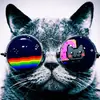 hda0522 - @henryahn5 - TikTok