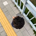 Henry Ahn - @aj98bz - Instagram