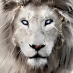 Henry Albrecht - @dragon.920878 - Instagram