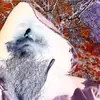 James Henry Albrecht - @jessejames7381 - TikTok
