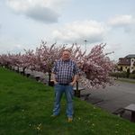 Henryk Altman - @henrykaltman - Instagram