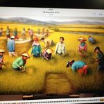 Henry Andersen - @henry.andersen.737 - Instagram