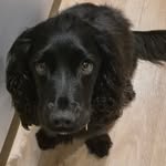 henry Daniel ashford - @hen_ashford - Instagram