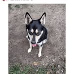 Henry Atkins - @kirk.atkins - Instagram