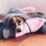 Henry Baines - @mr.henry_baines - Instagram