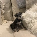 Henry Barnard Nunns - @henrybarnardnunns - Instagram
