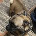 Henry Baughn - Facebook