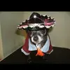 Henry Beatty - @henry.beatty22 - TikTok