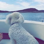 Henry Beckham - @henrybeckham - Instagram