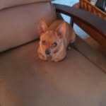 Henry Belcher - @joebelch31gmailcom - Instagram