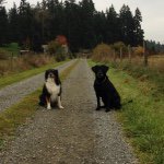 Henry Betts - @hbetts141 - Instagram