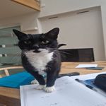 Henry Betts - @henrybetts78 - Instagram