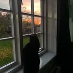Henry - @henr.ybetts - Instagram