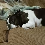 Henry Billings - @henry.billings.5 - Instagram