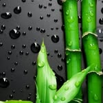 Henry bills - @bills4833 - Instagram