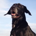 Henry Birks - @henry.birks - Instagram