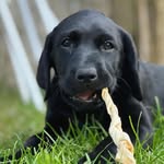 Henry Birks - @henbirk - Instagram